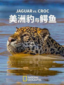 美洲豹与鳄鱼 Jaguar vs. Croc