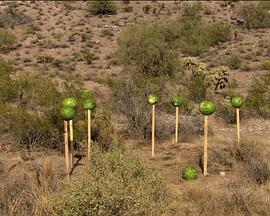 战争机器机枪 Megastructures: Machine Guns