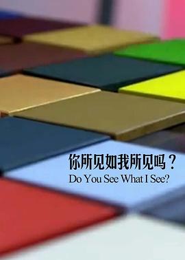 你所见如我所见吗 Do you see what I see?