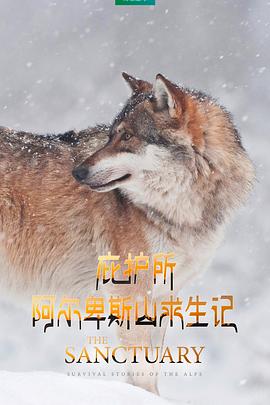 庇护所：阿尔卑斯山求生记 Le plus beau pays du monde 3 : Le sanctuaire