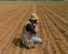 玛格南图片社：一个神话的变幻 Magnum Photos - Ein Mythos ändert sich