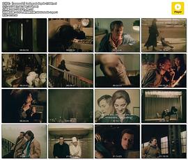 十一月的列宁格勒 Leningrad. Noyabr