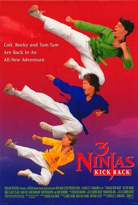 忍者小英雄2 3 Ninjas Kick Back