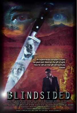 盲眼杀机 Blindsided