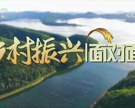 乡村振兴面对面