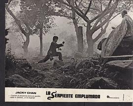 广东小老虎 廣東小老虎