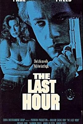 执法先锋 The Last Hour
