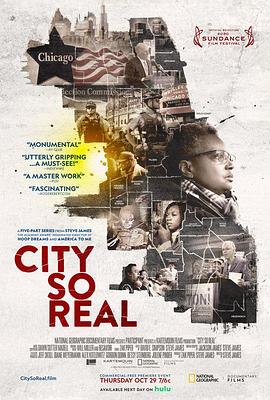 芝加哥城纪实 City So Real