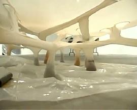 Ernesto Neto - Investigações - O Trabalho do Artista