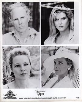 桃园妙探 Trenchcoat in Paradise