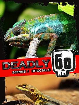 致命的60种生物 第一季 特别节目 Deadly 60 SERIES 1 SPECIALS