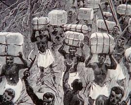 寻宝人系列：非洲古文明 Treasure Seekers: Africa's Forgotten Kingdom