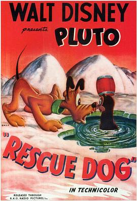 救援犬 Rescue Dog