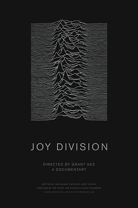 欢乐分裂 Joy Division