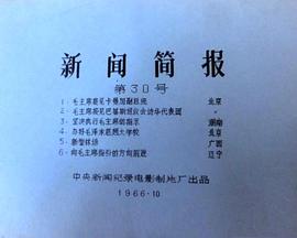 新闻简报1966年第30号