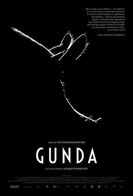 贡达 Gunda