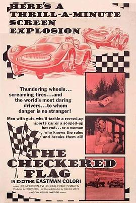 飞车龙虎斗 The Checkered Flag
