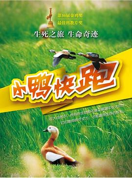 小鸭快跑