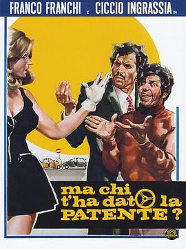 是谁给你的驾驶执照? Ma chi t'ha dato la patente?