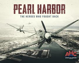 珍珠港：英雄的反击 Pearl Harbor: The Heroes Who Fought Back