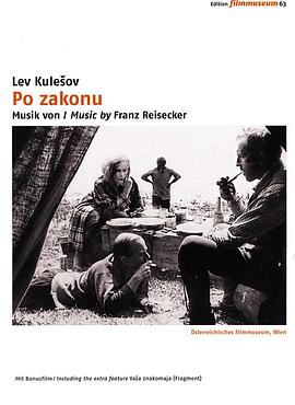 以法律之名 По закону