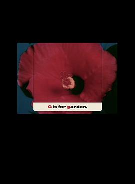 别告诉你妈妈 Don’t Go Tellin’ Your Momma