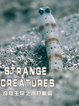 奇怪生物之八打雁篇 Strange Creatures