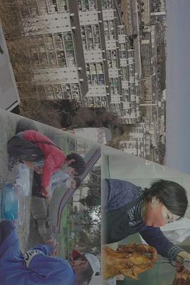 纪实72小时 多国籍小区里的辞旧与迎新 ドキュメント72時間「“多国籍団地”のゆく年くる年」