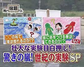 岚的世纪大实验 驚きの嵐!世紀の実験 学者も予測不可能SP