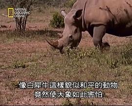 透视非洲 第一季 Africa from the Ground Up Season 1