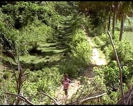 阿布小传-奔跑不止的印度少年