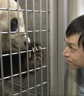 熊猫日记 ごろごろパンダ日記