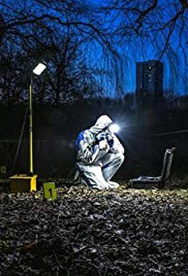 取证：真正的犯罪现场调查 第二季 Forensics: The Real CSI Season 2