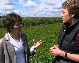 地平线系列：超市机密 Horizon: Prof. Regan's Supermarket Secrets