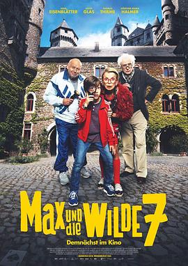 老少名侦探 Max und die wilde 7