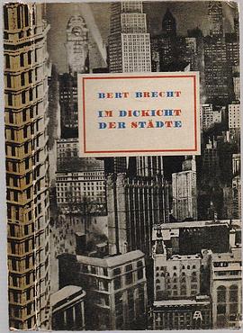 Im Dickicht der Städte