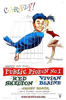 糊涂侦探 Public Pigeon No. One