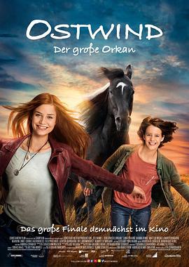 骏马奥斯温5 Ostwind - Der große Orkan