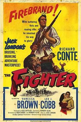 墨西哥抗暴记 The Fighter