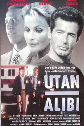 撕裂惊爆点 Shattered Image