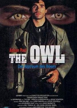 超感应魔侠 The Owl