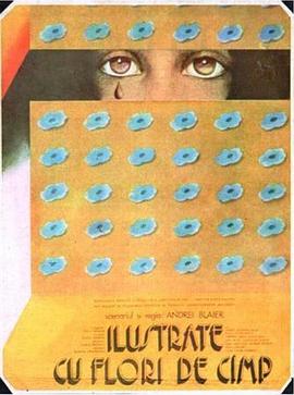 野花明信片 Ilustrate cu flori de cîmp