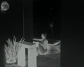 黑色太阳 Die schwarze Sonne