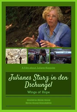 希望的翅膀 Julianes Sturz in den Dschungel