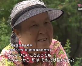 纪实72小时：16号国道 ドキュメント72時間 オン・ザ・ロード 国道16号の“幸福論”