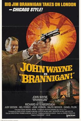 万里擒凶 Brannigan