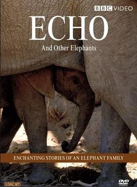 埃可 - 让人难忘的大象 Echo of the Elephants