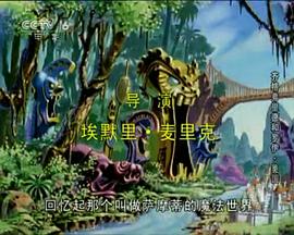 齐格弗里德和罗伊 Siegfried &amp; Roy: Masters of the Impossible