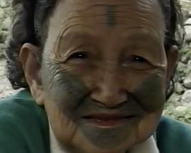 彩虹的故事