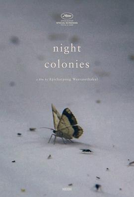 夜间集落 Night Colonies